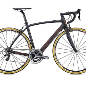 Class aliquet parturien