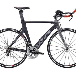 Vestibulum dignissim posuere